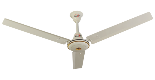 Expo Model