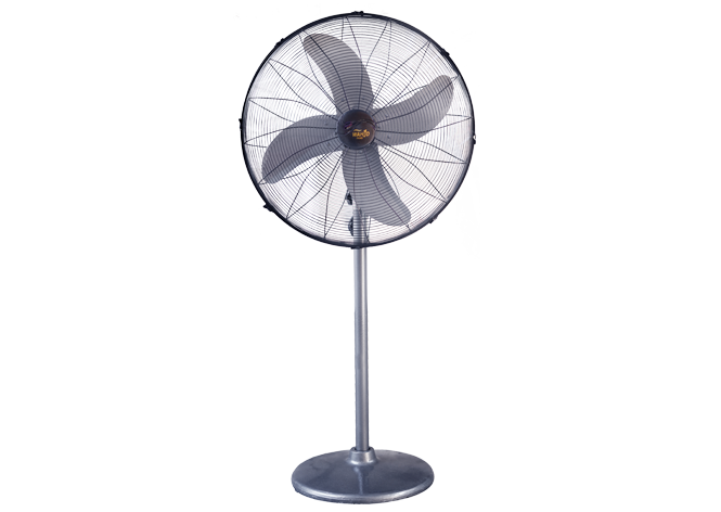 PB 24" Classic Pedestal