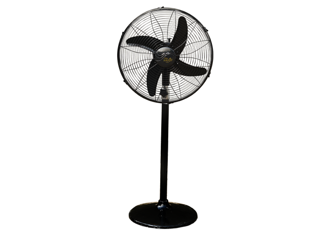 PB 18" Special Standard