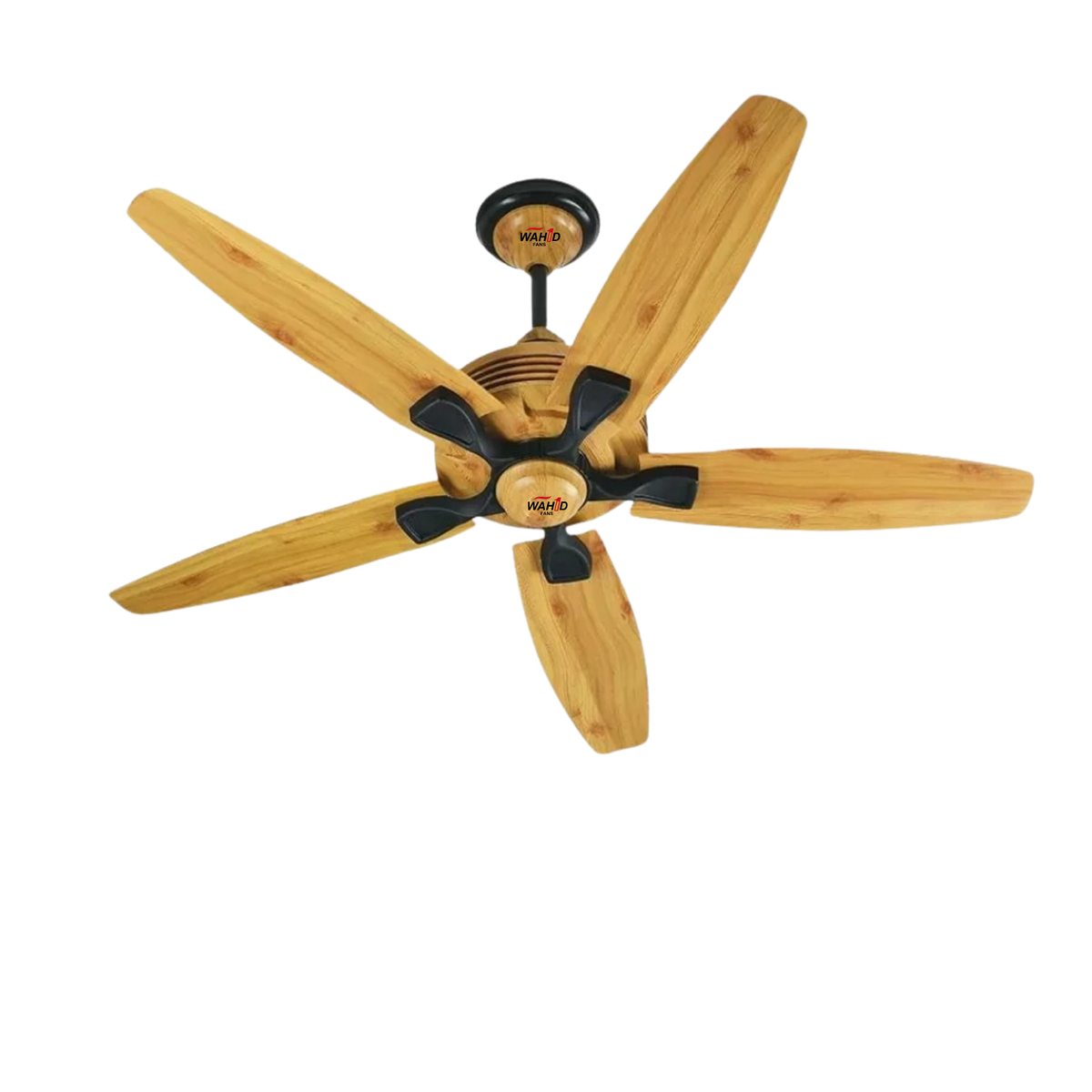 Ace Series 56' Solar AC/DC