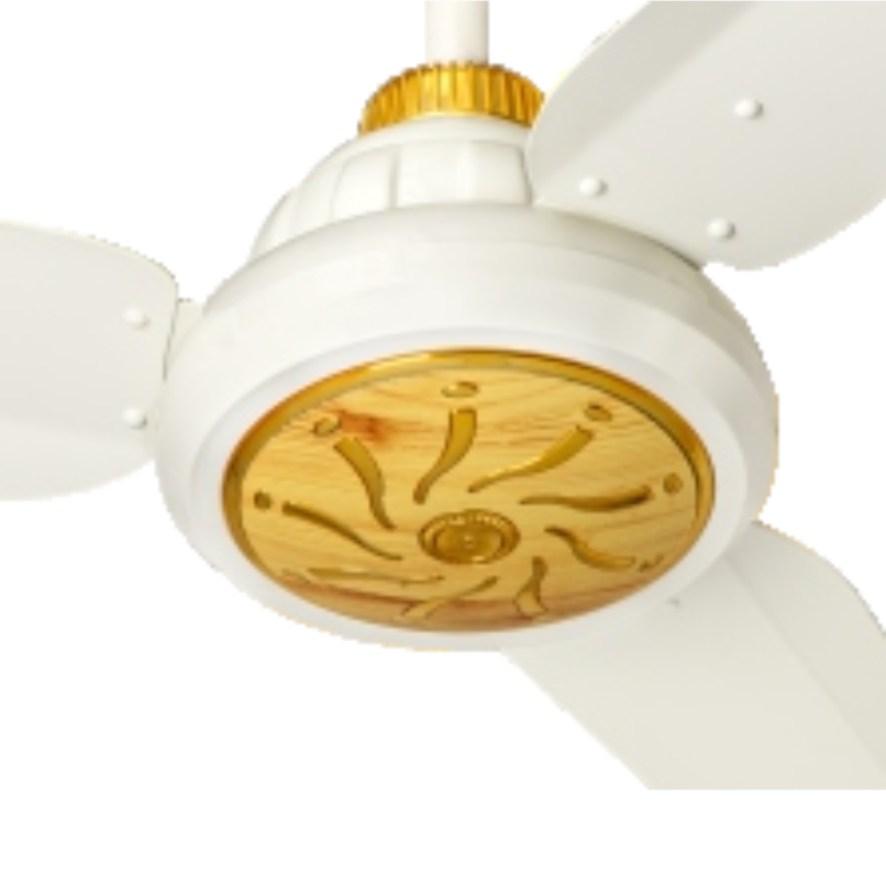 30 Watts Inverter Icon Series