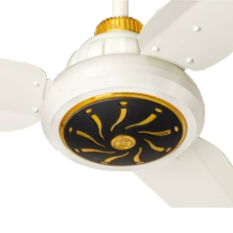 30 Watts Inverter Icon Series