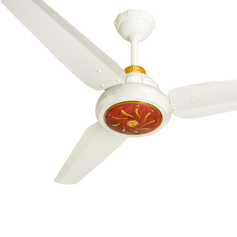 30 Watts Inverter Icon Series