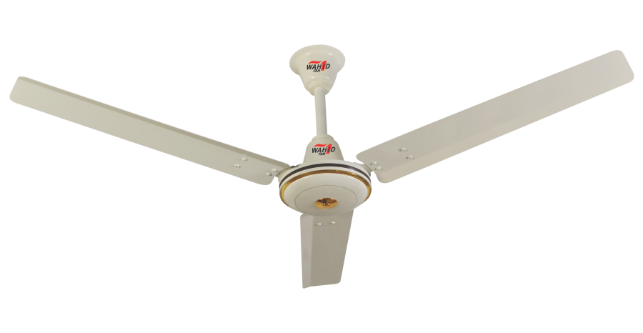 Expo Model