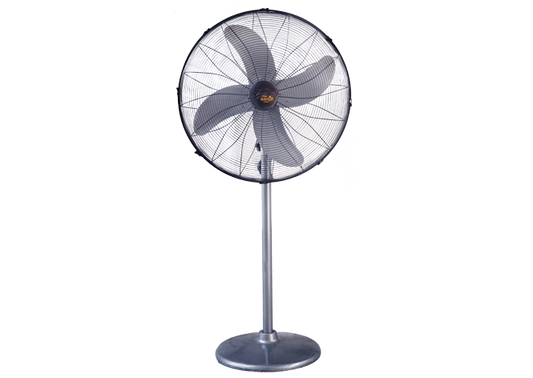 PB 24" Classic Pedestal