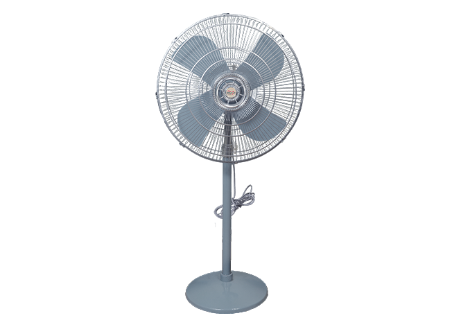 Standard Pedestal