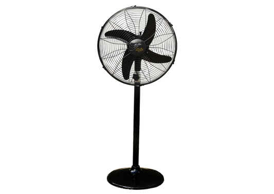 PB 18" Special Standard